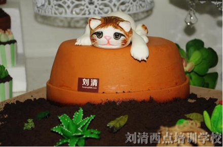 明明是烘焙培训学校，却教想创业的 TA 种出最美的多肉盆栽